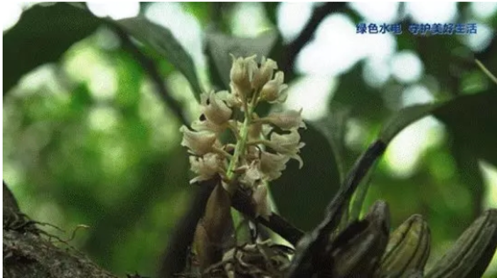 截圖_20211213142948 截圖_20211213142948