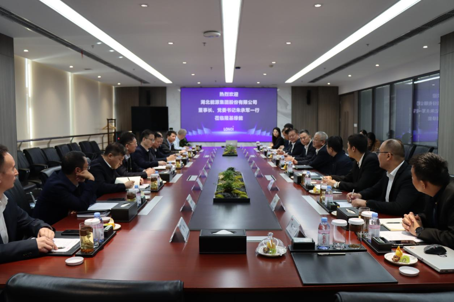 會議現(xiàn)場(西北新能源公司供稿) 會議現(xiàn)場(西北新能源公司供稿)